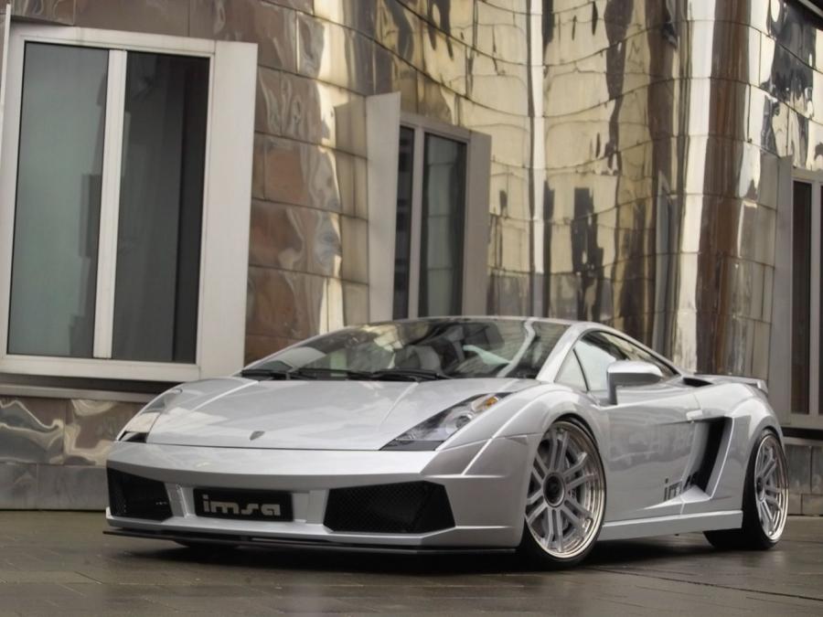  Lamborghini Gallardo GTV by IMSA 2007 года  (фото 18 из 24)